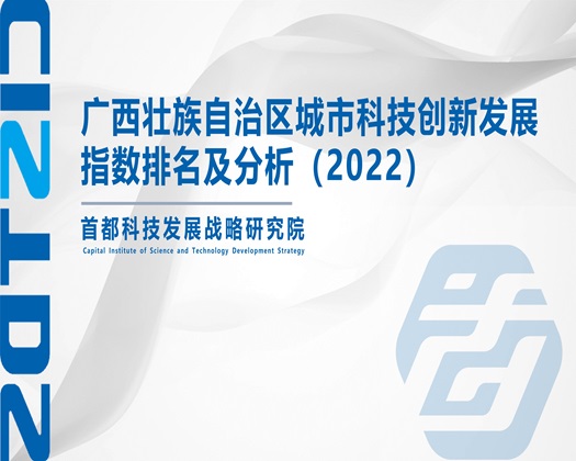 在线操b视频网【成果发布】广西壮族自治区城市科技创新发展指数排名及分析（2022）